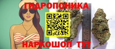 ALPHA PVP Краснознаменск
