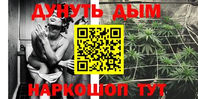 индика Краснокаменск