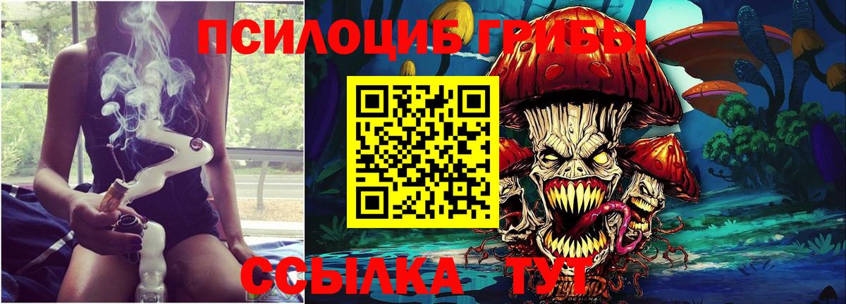 Псилоцибиновые грибы мухоморы Камышлов