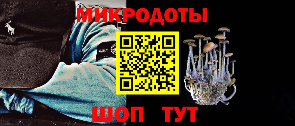 Галлюциногенные грибы Psilocybe  Вход с VPN  Камышлов 