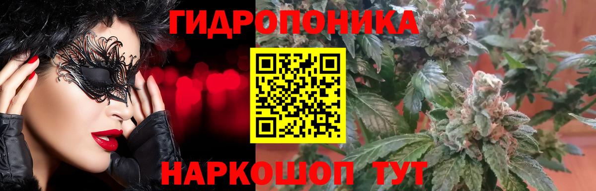 Канабис VHQ  Вход с VPN  Марихуана MAZAR  Марихуана THC 21%  Марихуана план  Камышлов 